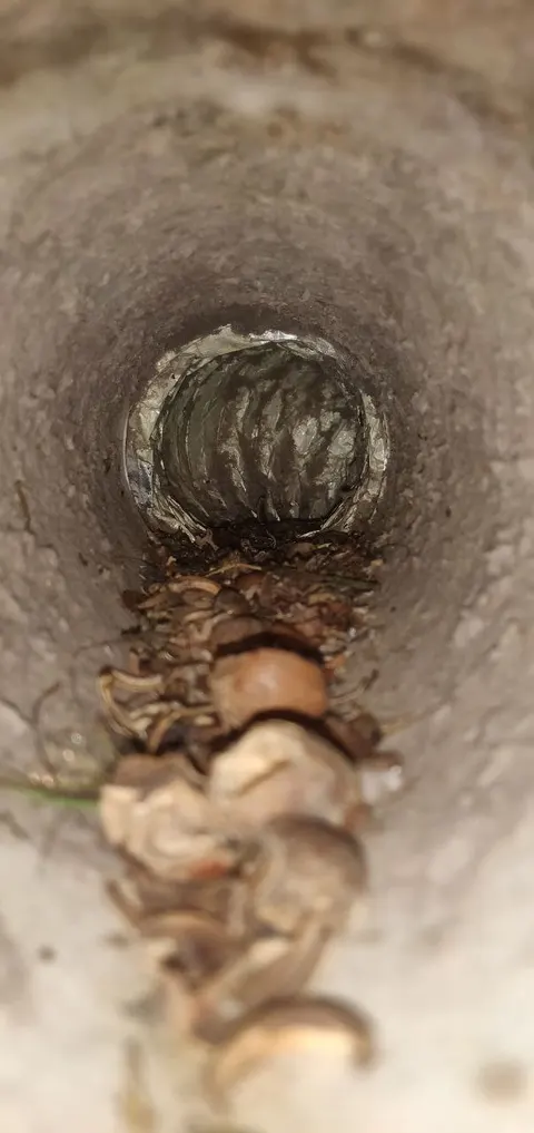 Dryer vent cleaning work photo